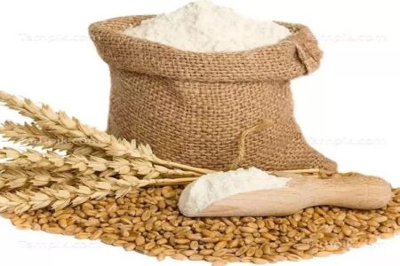 جریمه متخلف متقلب و کم فروش گندم در اردبیل