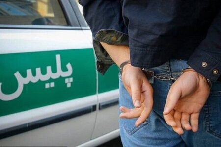 شرور سابقه‌دار در جعفرآبادمغان دستگیر شد
