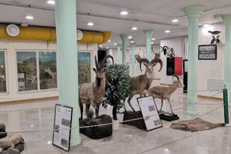 امکان بازدید مجازی از موزه تاریخ طبیعی اردبیل فراهم شد