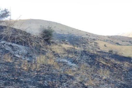 مهار آتش سوزی در منطقه «حاجی آرخی» روستای لرد خلخال