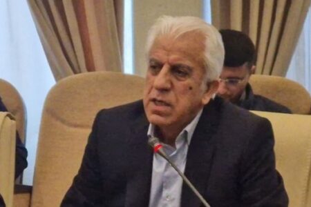 ناکارآمدی سامانه جامع تجارت، اصناف را دچار چالش کرده است