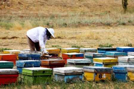 ابلاغ ۱۲۹ میلیارد تومان تسهیلات اشتغالزایی در روستاهای اردبیل