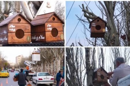 مهربانی با پرندگان در فصل سرما/ پرندگان در اردبیل صاحب آشیانه شدند