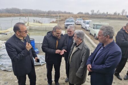 برداشت ماهیان گرمابی از مزارع پارس آباد