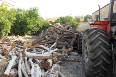 کشف بیش از ۴۱ تن هیزم در استان اردبیل/ سوداگری علت تداوم تخریب طبیعت است