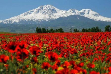 سبلان ثبت جهانی می‌شود