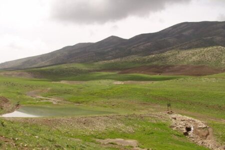 بازگشت ۲۳ هزار مترمربع از مراتع خلخال به اراضی ملی