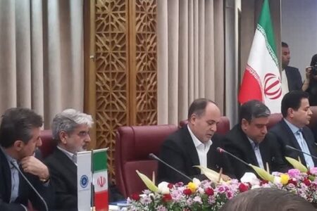 ارز ترجیحی به ضرر تولیدکننده است