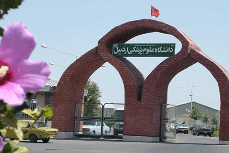 کمبود داروهای خاص و شیرخشک در اردبیل رفع می‌شود