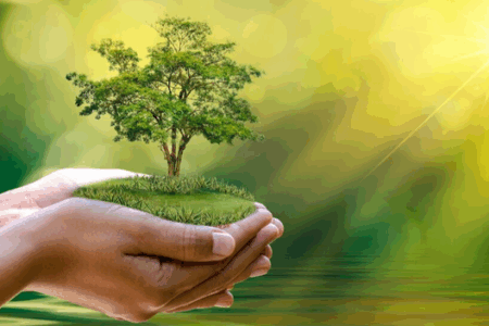 ۱۰۰ برنامه طی هفته محیط زیست در اردبیل برگزار می‌شود