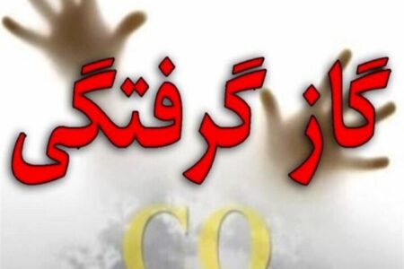 ۲۴ نفر با گاز مونوکسیدکربن در استان اردبیل مسموم شدند