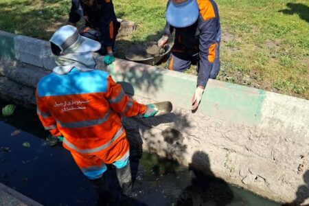 آغاز لانه‌کوبی برای کنترل جمعیت جانوران موذی در اردبیل